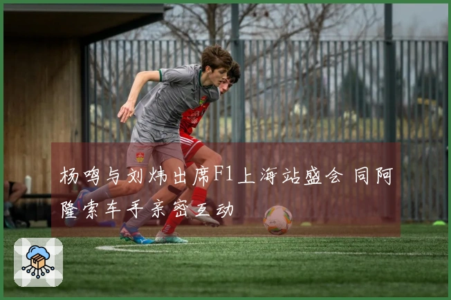 杨鸣与刘炜出席F1上海站盛会 同阿隆索车手亲密互动
