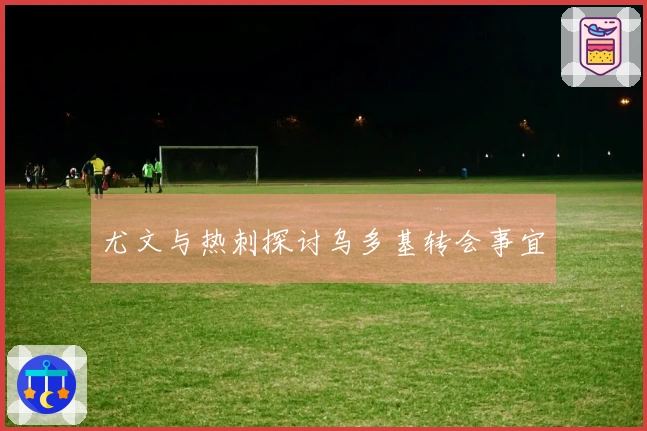 尤文与热刺探讨乌多基转会事宜