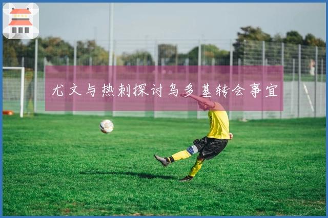 尤文与热刺探讨乌多基转会事宜